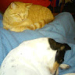 Meet your Posher, Holly